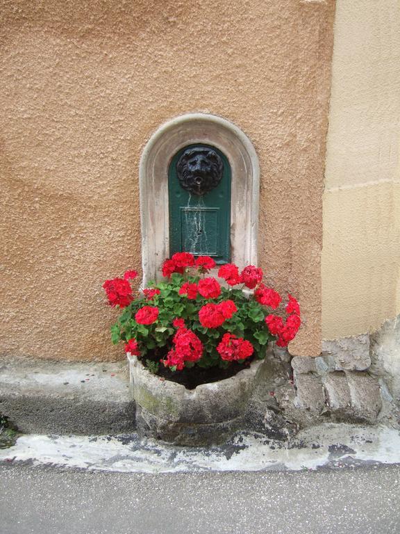 Ferienwohnung La Maison Axat Exterior foto